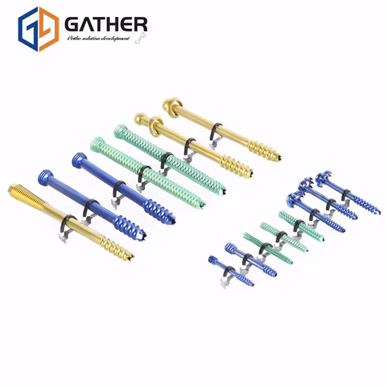 Заводская цена Ортопедическая фиксация позвоночника Внутренний имплантат Педикулярный винт Титановая сетка